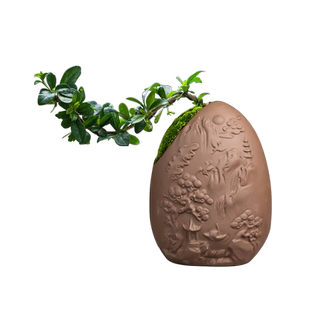 喜鹊报春紫砂创意盆景花盆山水家用六月雪文竹老桩客厅办公室特价