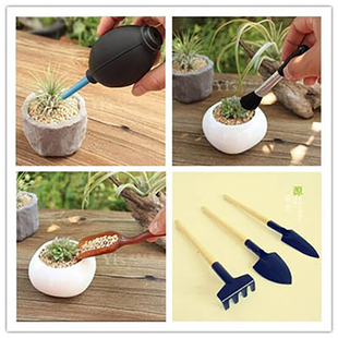 多肉植物种植工具三件套铁锹耙子专用尖嘴弯头挤压浇水壶过水网垫