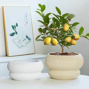 简约欧式 柠檬幼苗花盆栽大口径创意竖纹陶瓷家用客厅大号盆栽摆件