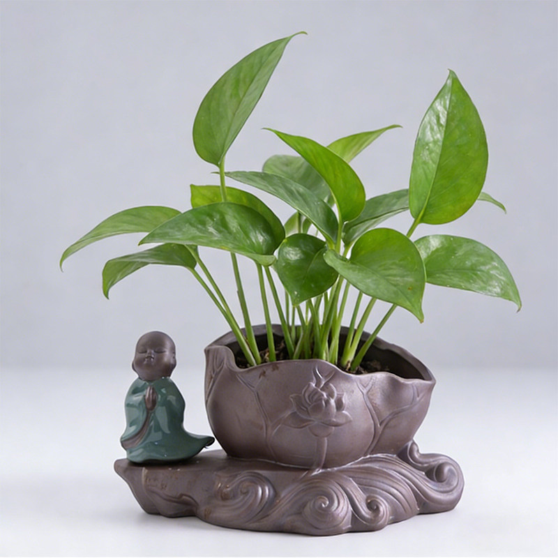 铜钱草花盆水培多肉绿萝植物文竹专用菖蒲盆栽禅意小和尚创意摆件,鲜花速递/花卉仿真/绿植园艺,花盆,淘宝优惠券,粉丝福利购,淘宝优惠卷