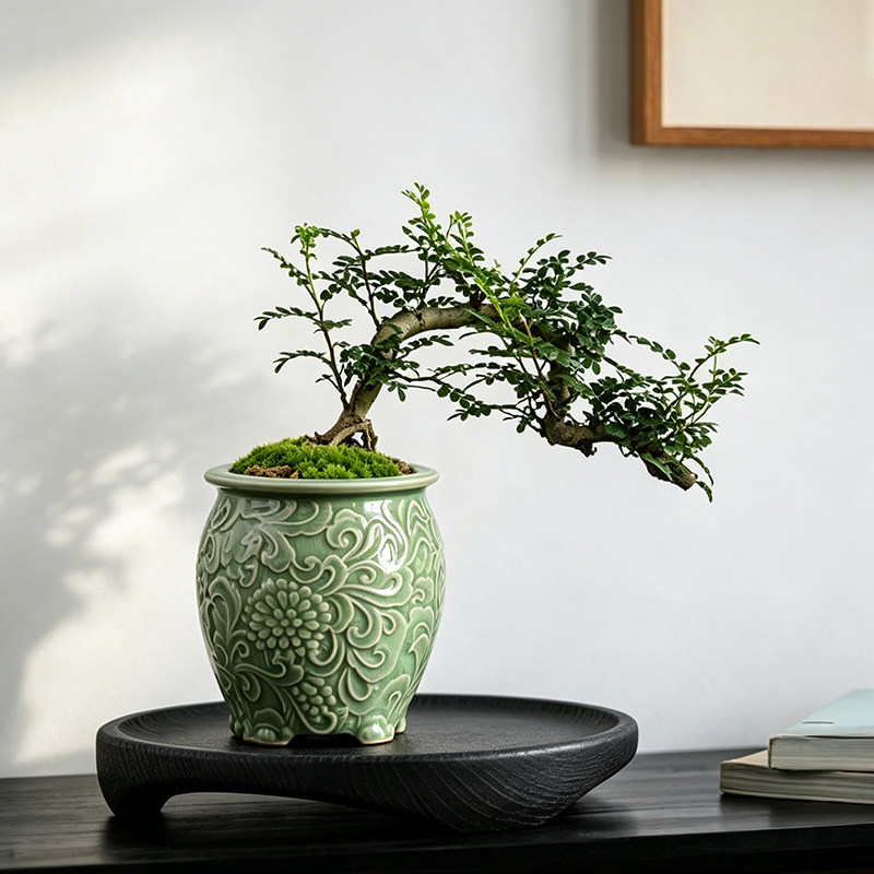 清香木花盆陶瓷老桩绿植盆景室内禅意胡椒木茶台桌面造景盆摆件图片