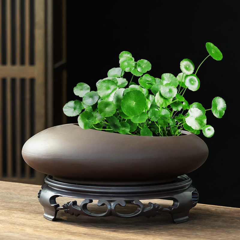 铜钱草水培紫砂花盆家用水养金钱草植物专用创意椭圆无孔带托盘