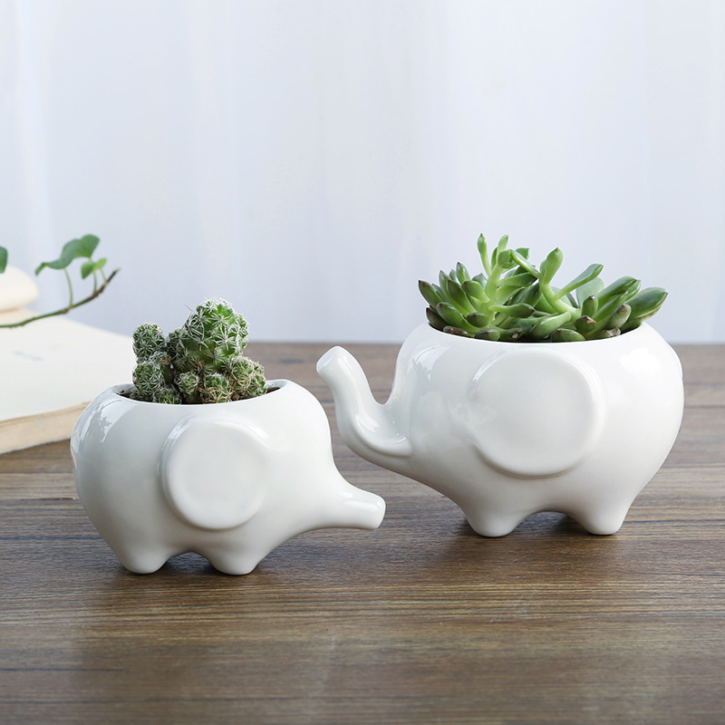 卡通可爱多肉花盆小号植物白色陶瓷创意个性简约特价清仓包邮拇指