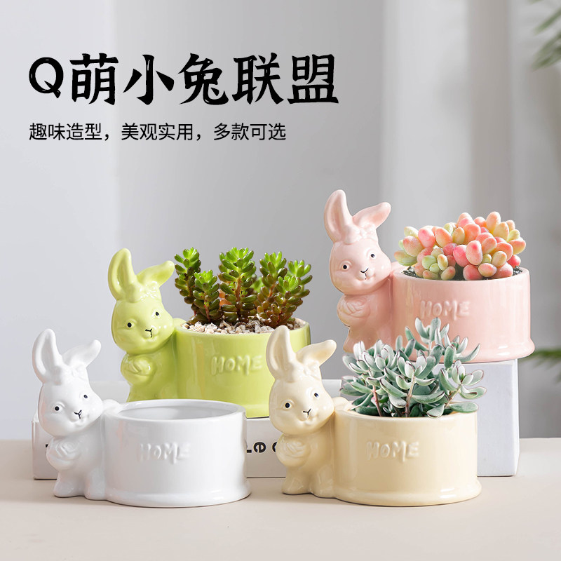 桃蛋多肉专用花盆圆口陶瓷卡通家用桌面绿植物创意q萌小兔摆件