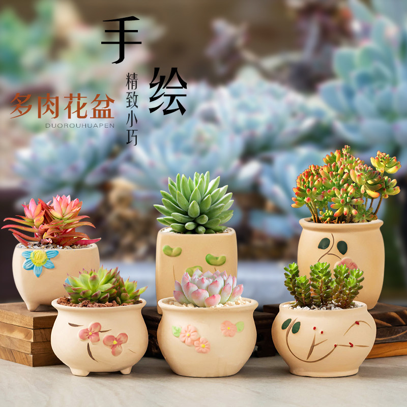 清新手绘多肉专用花盆粗陶家用圆口桌面透气肉肉植物室内盆栽摆件