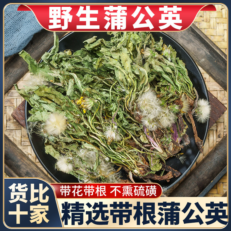 野生整颗蒲公英中药材新鲜干货婆婆丁浦公英整株带跟根泡茶泡水喝,传统滋补营养品,养生茶,淘宝优惠券,粉丝福利购,淘宝优惠卷