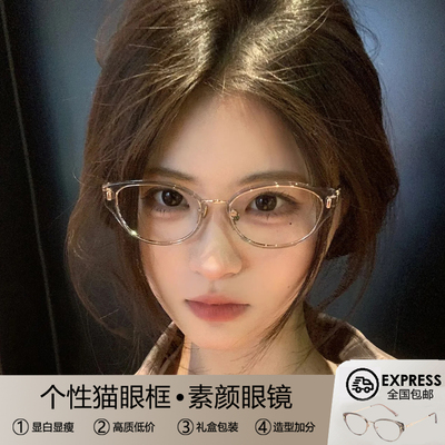 猫眼眼镜女高级感素颜小框冷茶色
