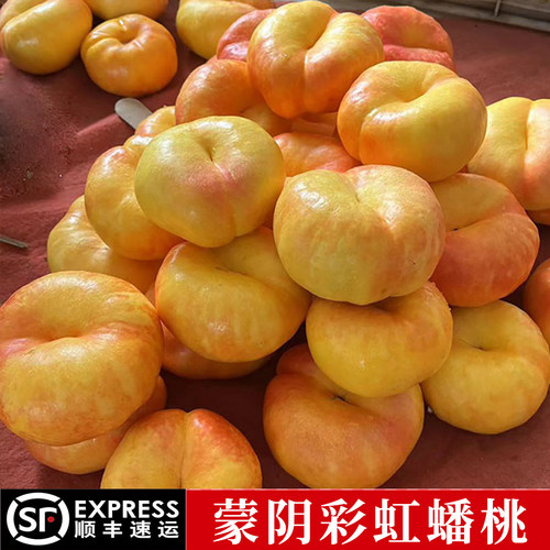 蒙阴黄金油蟠桃彩虹油蟠桃顺丰