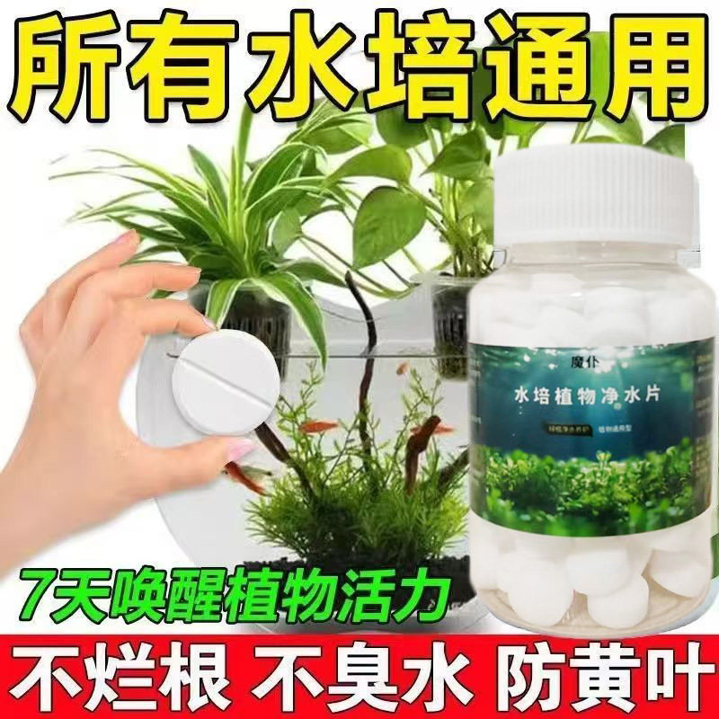 水培植物净水片除臭杀菌消毒富贵竹碗睡莲专用净化水质鲜花保鲜片