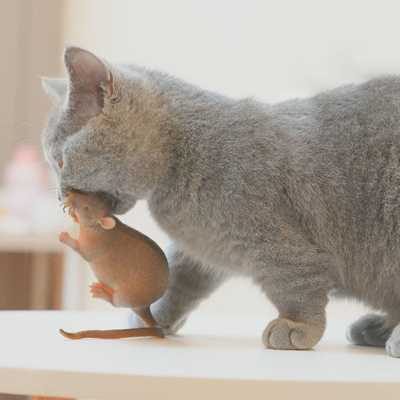 逼真老鼠猫玩具猫咪玩具软胶无声逗猫老鼠猫猫自嗨耐咬解闷神器