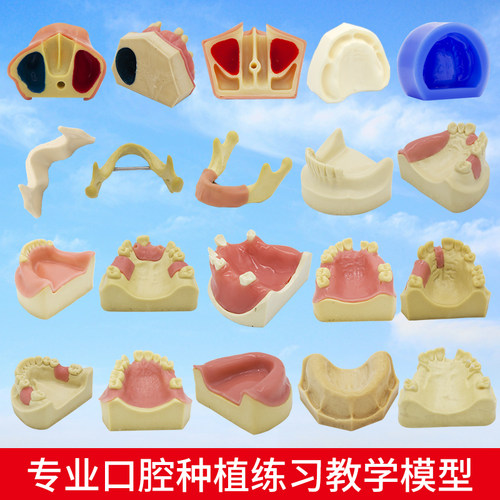 口腔种植模型牙科模型材料牙齿上颌窦提升练习齿科耗材器械软牙龈