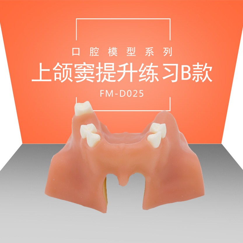 牙齿模型口腔种植练习软牙龈上颔窦提升练习教学示教缝合备牙