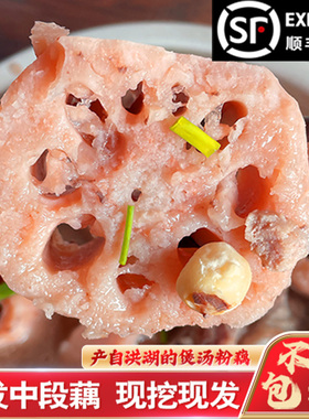 正宗洪湖莲藕新鲜现挖糯米藕煲汤粉糯炖汤湖北特产九孔粉藕红莲藕