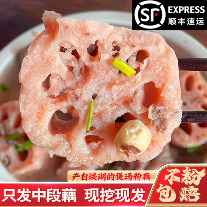 正宗洪湖莲藕新鲜现挖糯米藕煲汤粉糯炖汤湖北特产九孔粉藕红莲藕