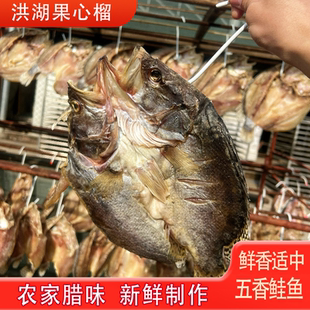 湖北洪湖阳干五香鲑鱼整条五香鲑鱼纯手工腌制自然晾晒7-8成干