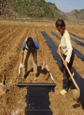 模黑色地膜种菜大j蒜农用农业花生银防膜保护地溥装修0.6塑料薄u.