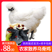 发2只农家散养土鸡乌鸡 新鲜老母鸡草鸡乌骨鸡肉整只装1000g/只
