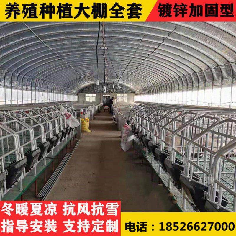新款养殖大棚骨架蔬菜种植养羊棚钢管钢架猪舍牛棚羊圈鸡鸭鹅大棚