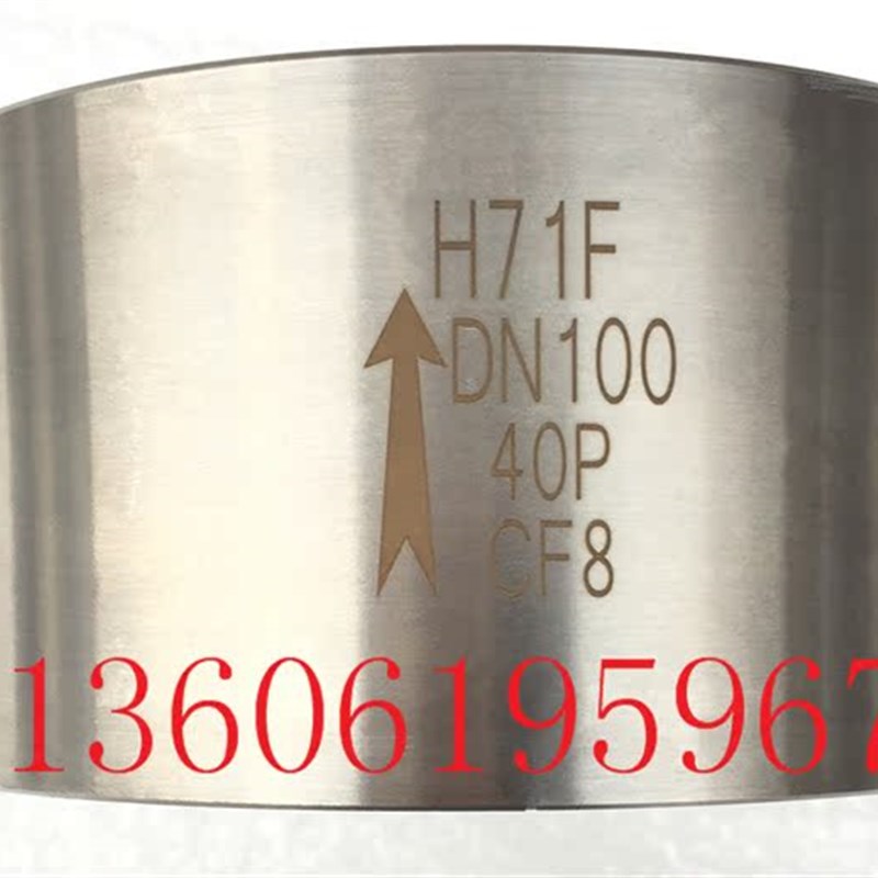 对夹式软密封止回阀不锈钢DN100弹簧式逆止阀304H71F