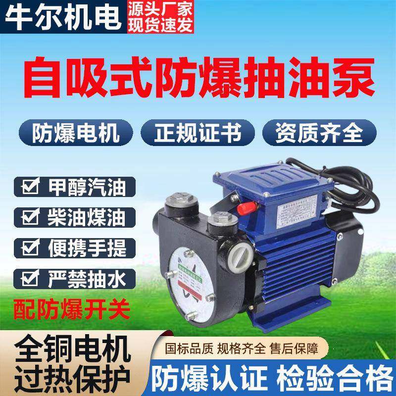 DYB-80/150防爆电动抽油泵220V便携手提式甲醇汽油柴油自吸加油泵,五金/工具,其他类型泵,淘宝优惠券,粉丝福利购,淘宝优惠卷