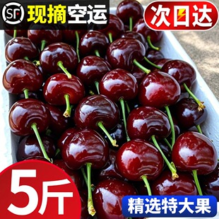 美早大樱桃山东烟台当应季新鲜水果国产车厘子孕妇整箱3J包邮礼盒