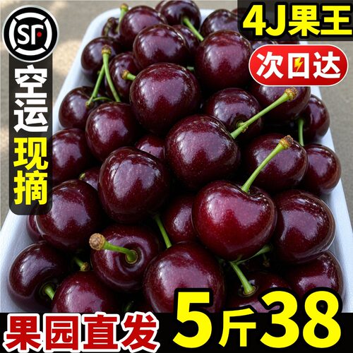 【果园现采直发】纯甜美早大樱桃