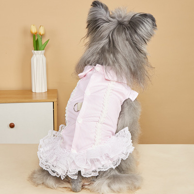 新款韩系蕾丝花边宠物狗狗裙子可牵引狗狗衣服春夏薄款猫咪公主裙