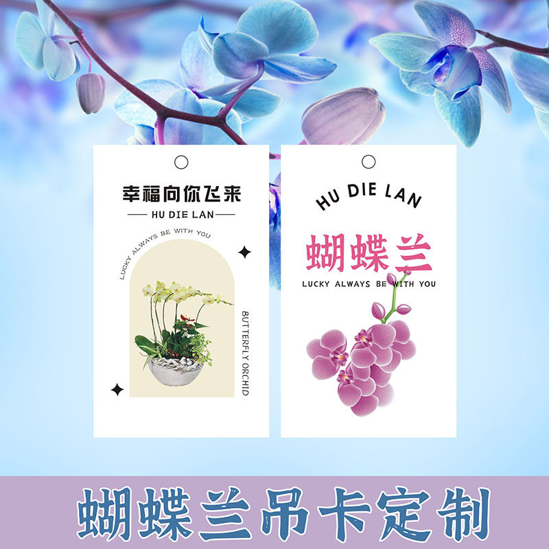 蝴蝶兰盆栽吊牌花盆鲜花养护卡温馨提示小贴士明信片留言小卡片定制