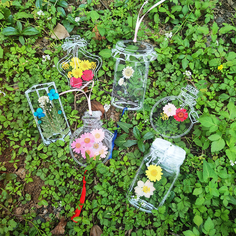 器皿小瓶子里的春天小学生幼儿园儿童自制压花鲜花花草植物标本礼物