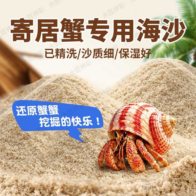 家养寄居蟹用品专用黄金沙螃蟹