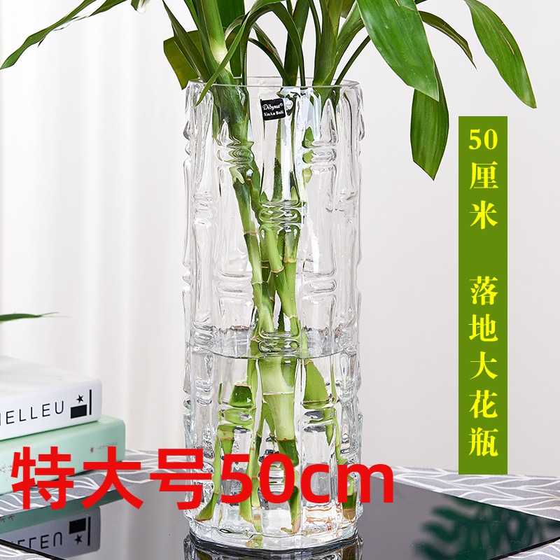 特大号50cm以上花瓶落地富贵竹
