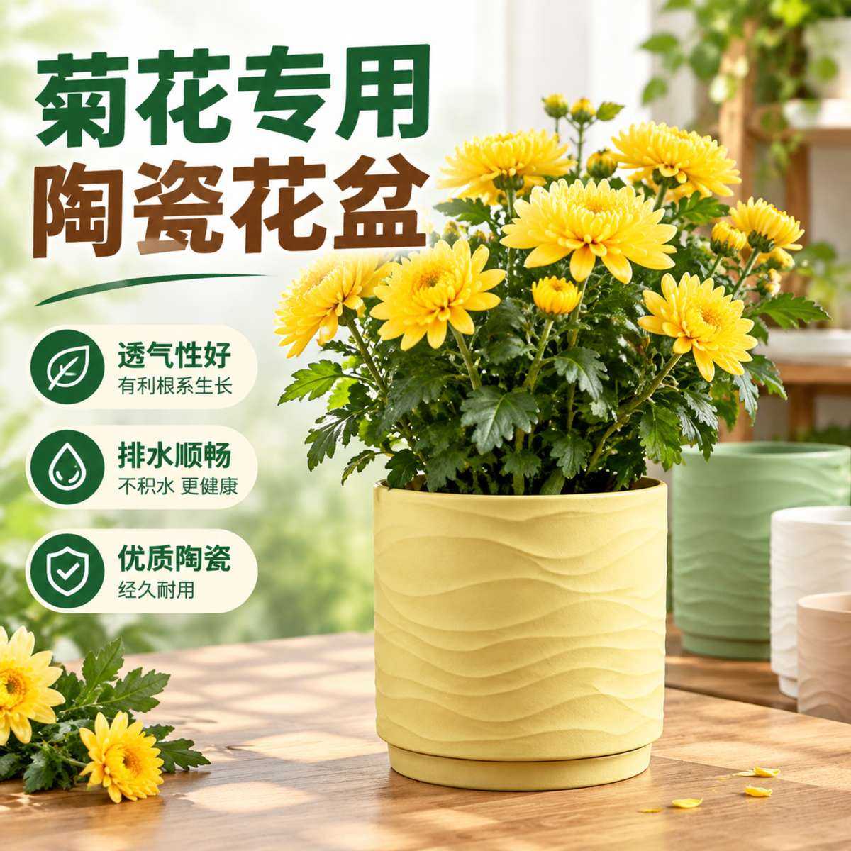 菊花专用花盆陶瓷带托盘新款2026