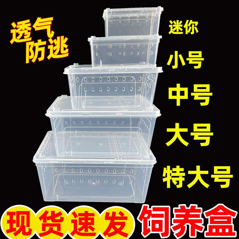 家养寄居蟹用品爬虫饲养盒角蛙