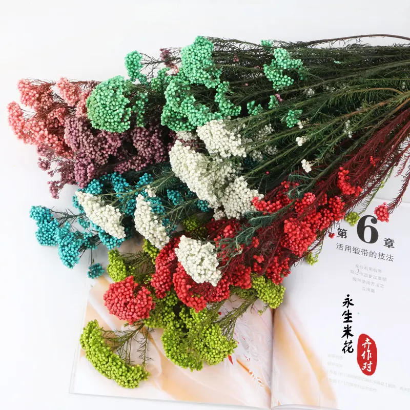 干花永生米花花束风干花真花家居