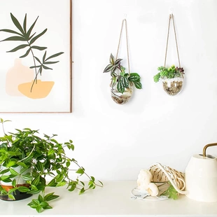悬挂水培蛋形玻璃花瓶壁挂挂墙水养植物容器家居园艺墙面装饰挂件