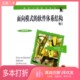 软件体系结构 Kircher management resource 3Michael patterns Prashant Jain著；鲍志云 Volume 卷3 for 二手图书面向模式 正版