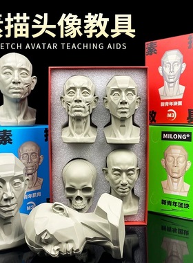 头头是道素描头像教具米隆石膏像美术生素描模型静物头骨艺术摆件大卫石膏像小型树脂雕塑写生教学专用雕像