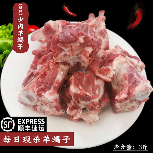 新鲜现杀少量肉羊蝎子3斤羊脊骨