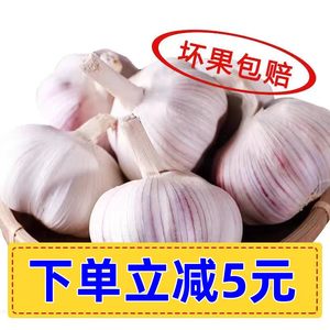 干蒜5斤10个头缺瓣适合生吃餐馆