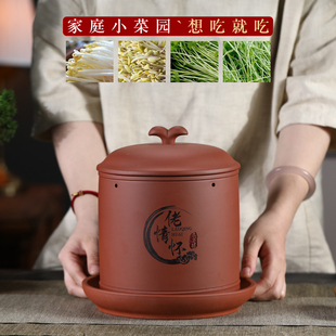 天然紫砂豆芽罐四季 可发家用健康大容量豆芽机可发多种豆芽菜苗