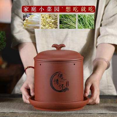 天然紫砂豆芽罐四季可发家用健康大容量豆芽机可发多种豆芽菜苗