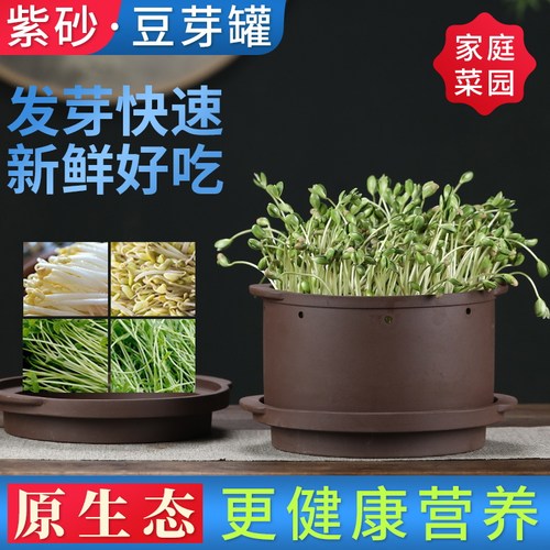 宜兴原矿紫砂豆芽罐家用发芽罐发豆芽机在家发豆芽非自动豆芽罐