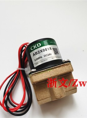 铜体阀SOLENOID VALVE MODEL W-W05047 DC24V AC220V电磁阀