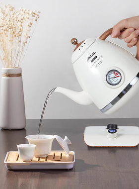 积高E18-5D长嘴控温电热水壶家用保温电茶壶调温茶艺壶烧水壶泡茶