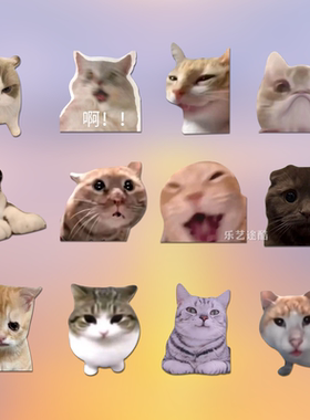 反光车贴搞笑大局逆转猫MEME猫咪冻干哥HUM猫防水车窗汽车贴纸