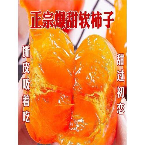 正宗爆甜软柿子树苗奶油