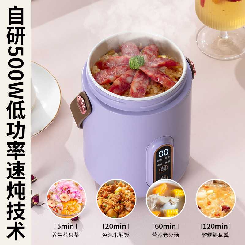 新款直销智能小电炖锅煮粥神器家用多功能迷你便携式炖煮锅煲汤熬