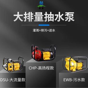 直销DSU农用灌溉水泵大流量抽水泵高压高扬程离心泵自吸污水 新款