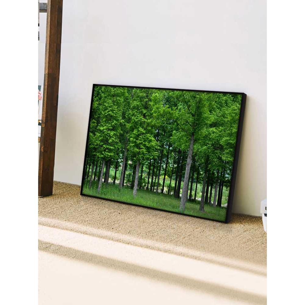 新款直销田园风景画树木森林树林装饰画玄关挂画儿童房间卧室床头图片