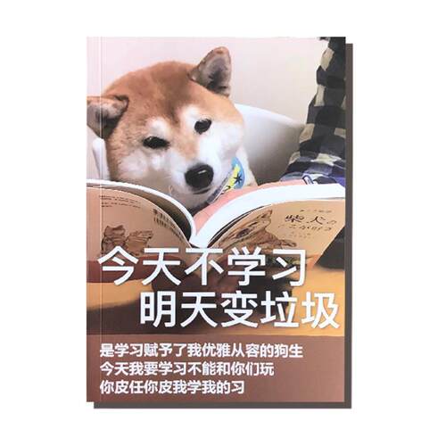 新款直销A5学生作业本笔记本32K练习本网红本ins创意整蛊搞笑高性